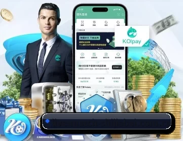世界杯体育 APP 深度功能