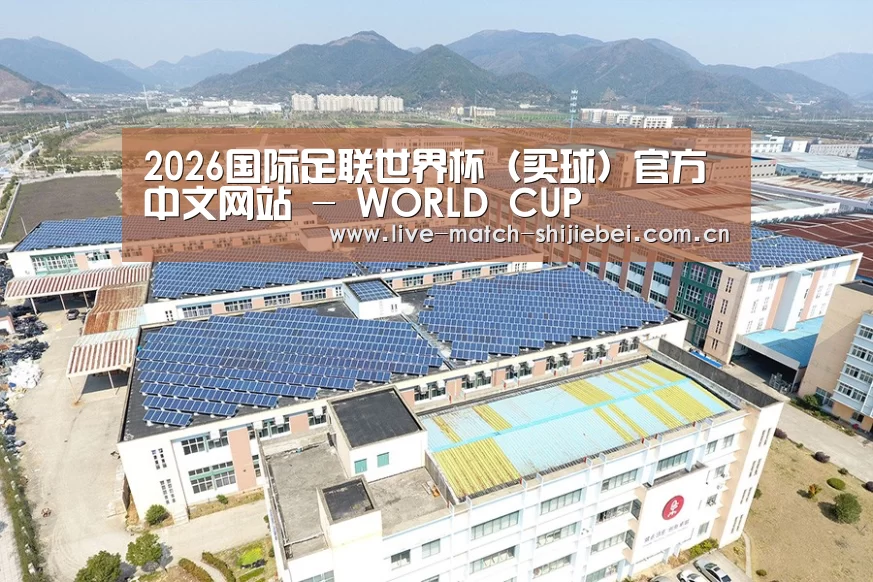 案例展示一