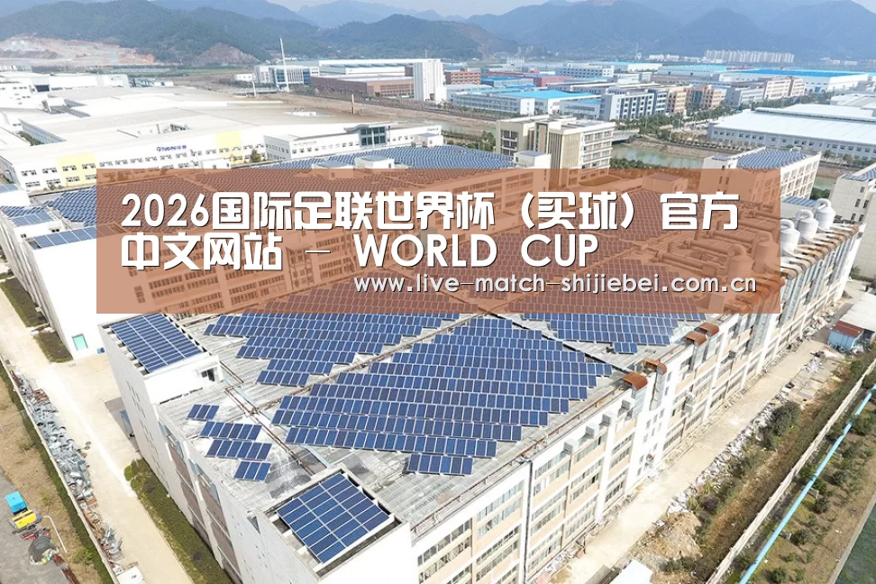 案例展示一