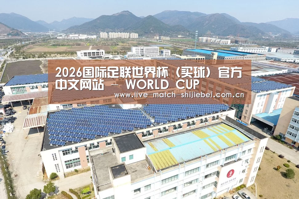 案例展示四