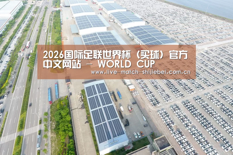 案例展示一