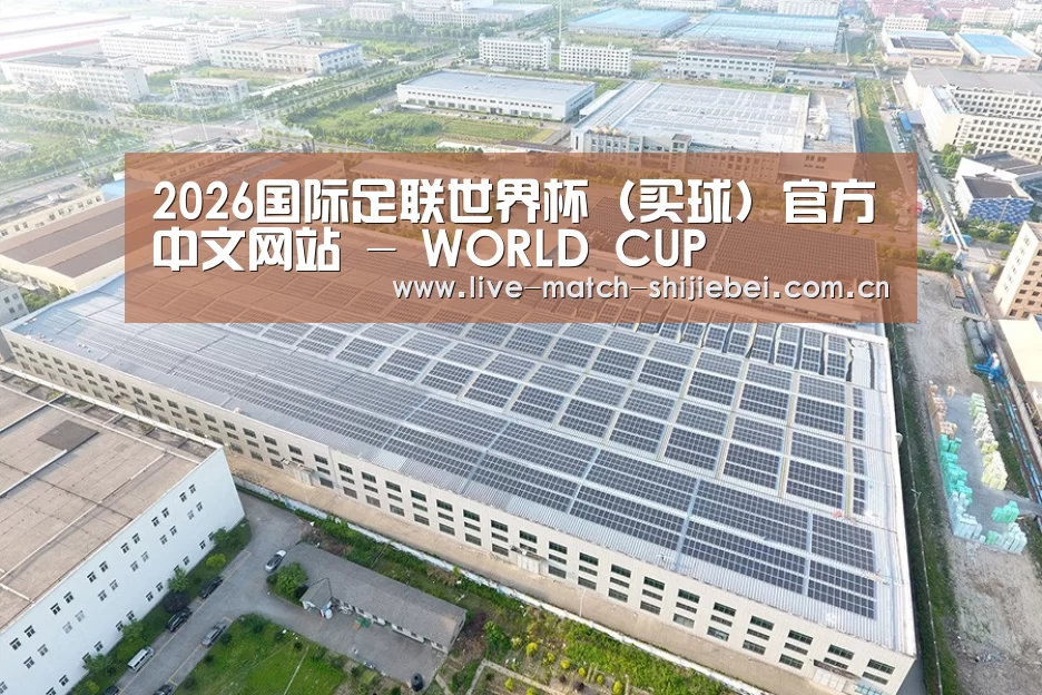 案例展示三