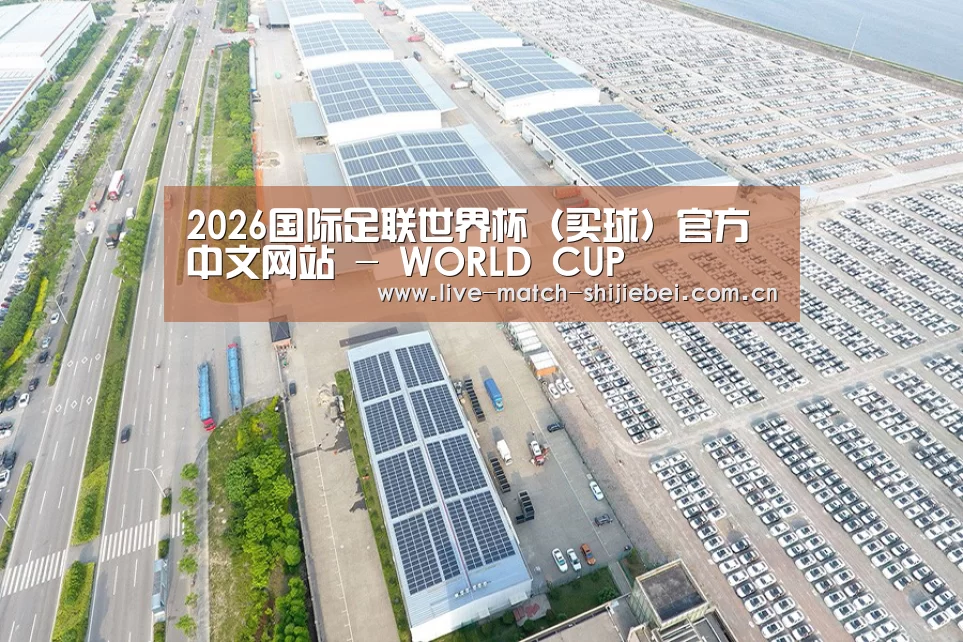 案例展示一