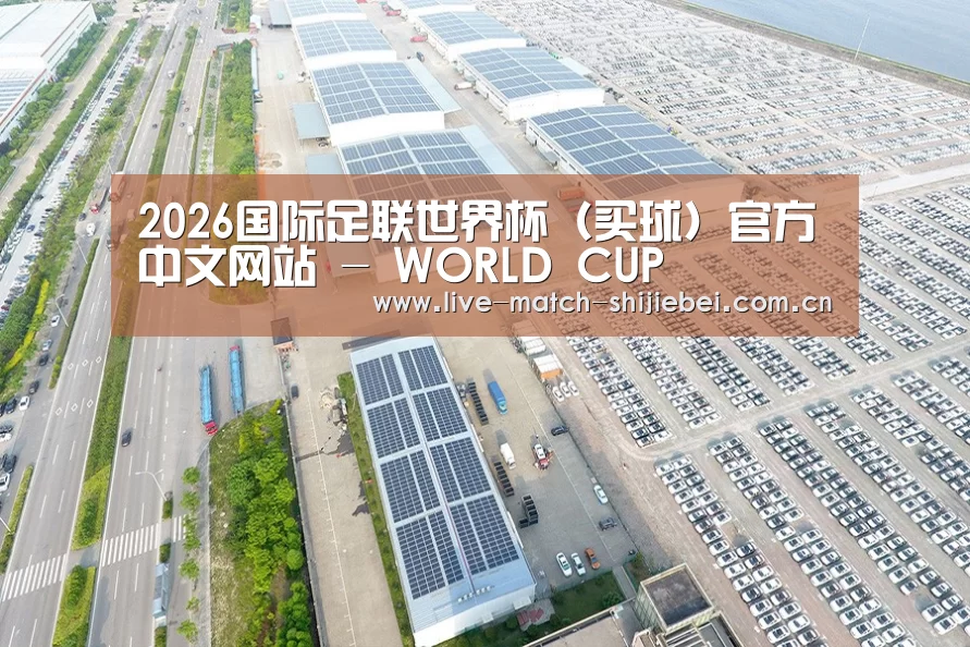 案例展示二