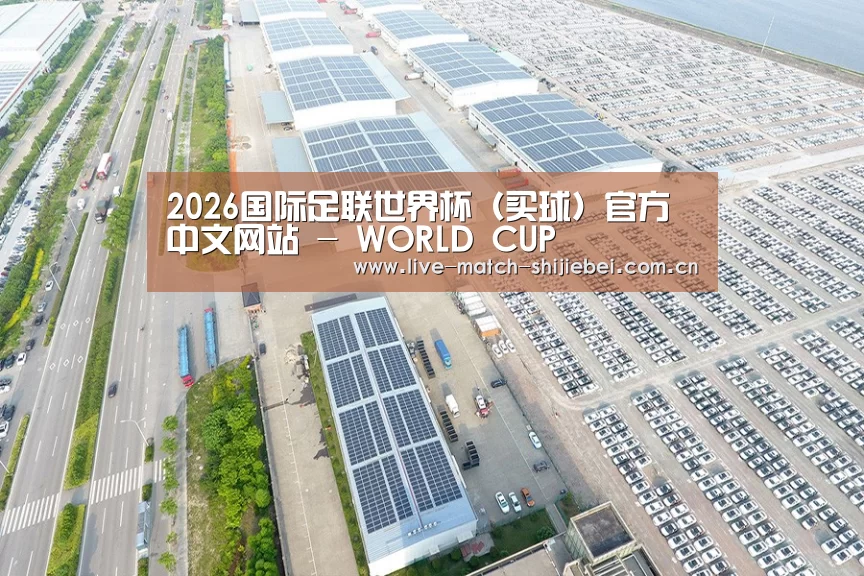 案例展示三
